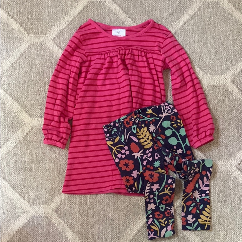 Hanna Andersson Pink Striped Long Sleeve Tunic with Floral Leggings